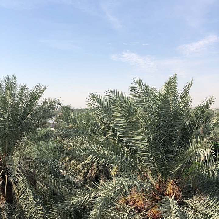 My Crowdsourcing Posts