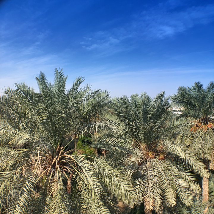 My Crowdsourcing Posts