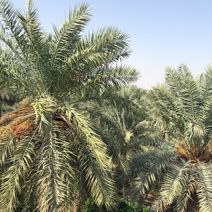 My Crowdsourcing Posts