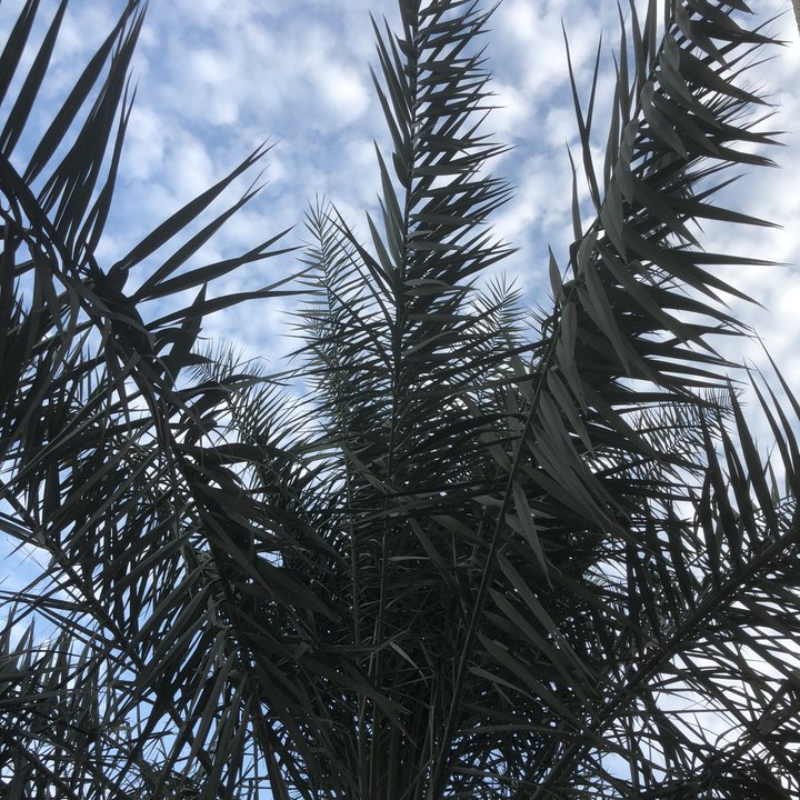 My Crowdsourcing Posts