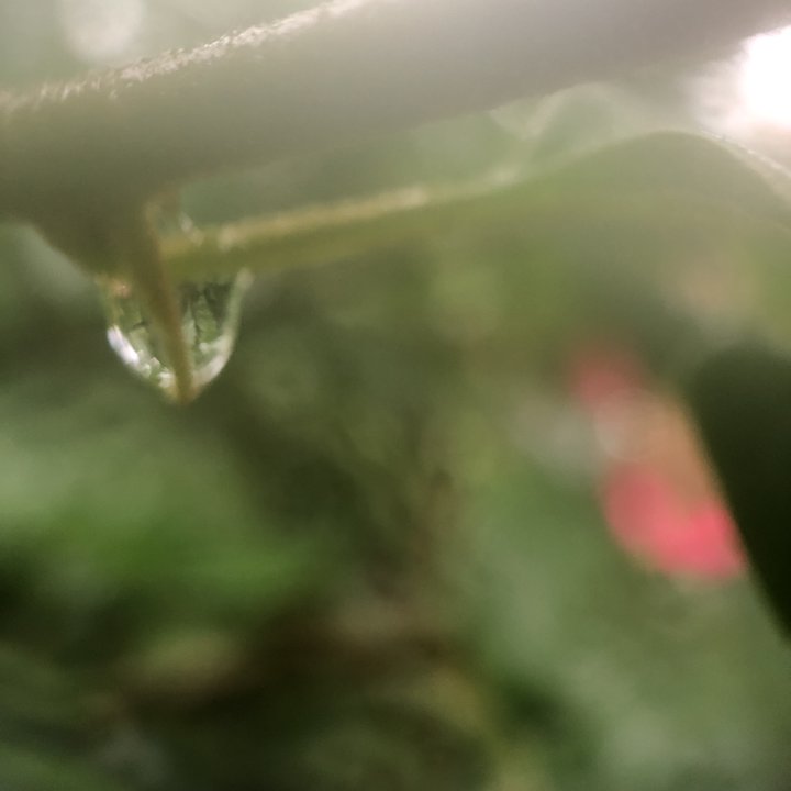 My Crowdsourcing Posts