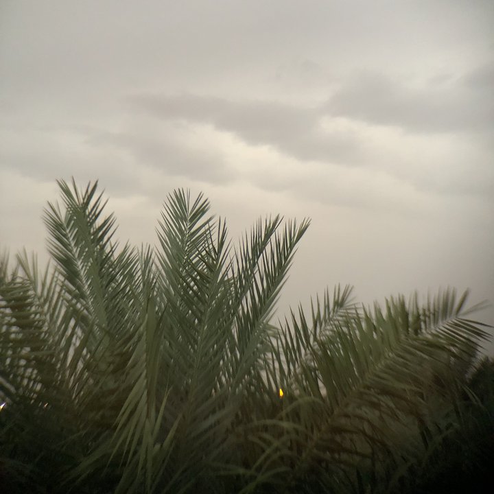 My Crowdsourcing Posts