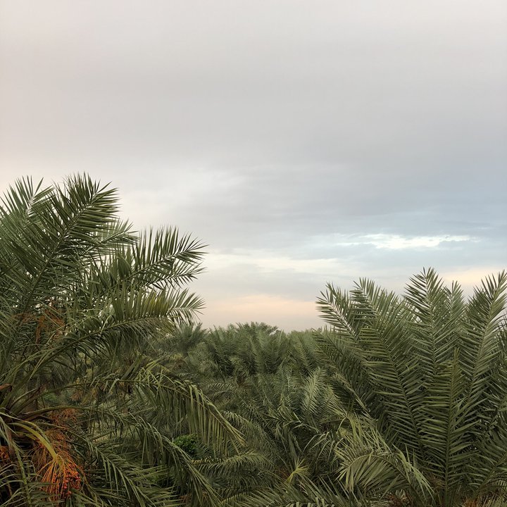 My Crowdsourcing Posts