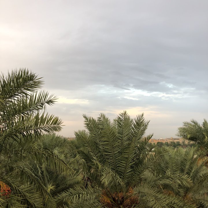 My Crowdsourcing Posts