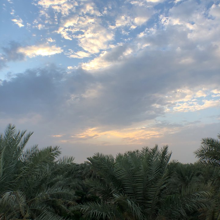 My Crowdsourcing Posts