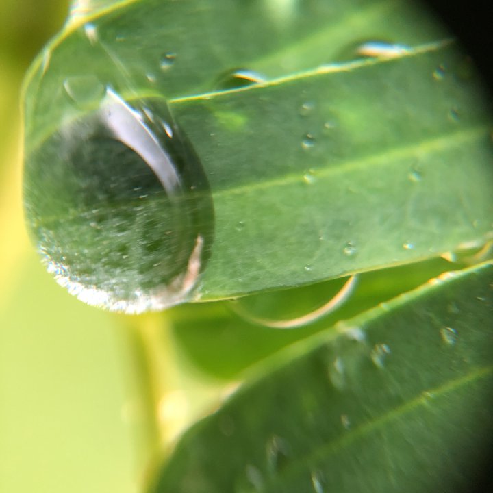 My Crowdsourcing Posts