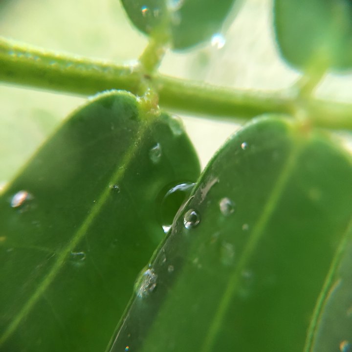 My Crowdsourcing Posts