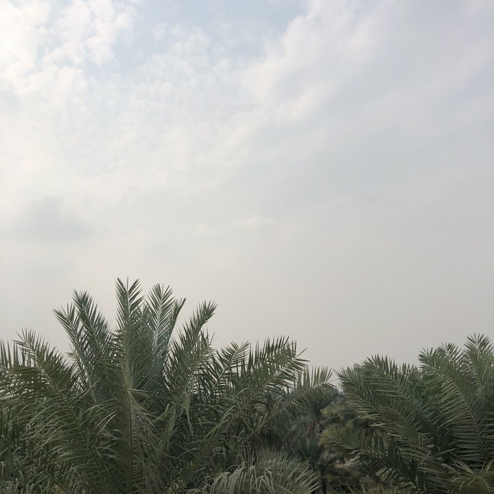 My Crowdsourcing Posts