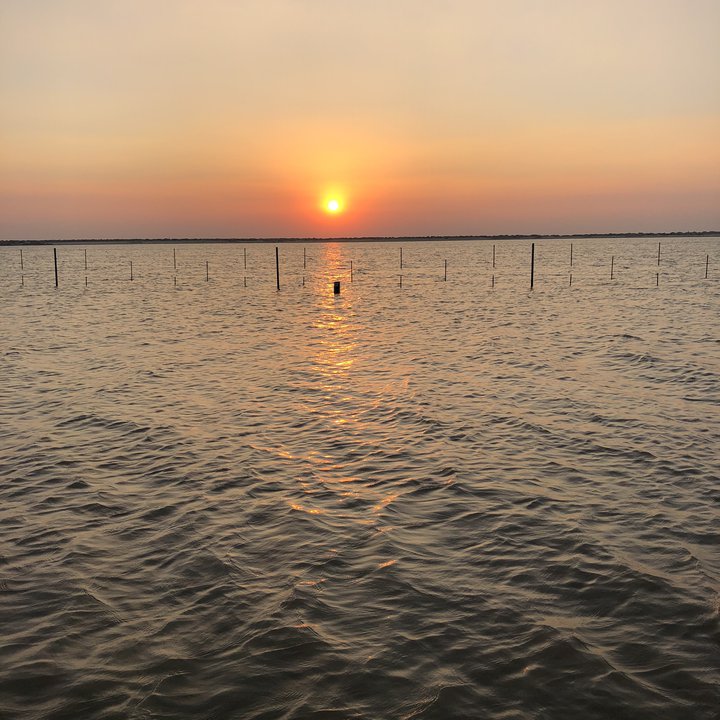 My Crowdsourcing Posts