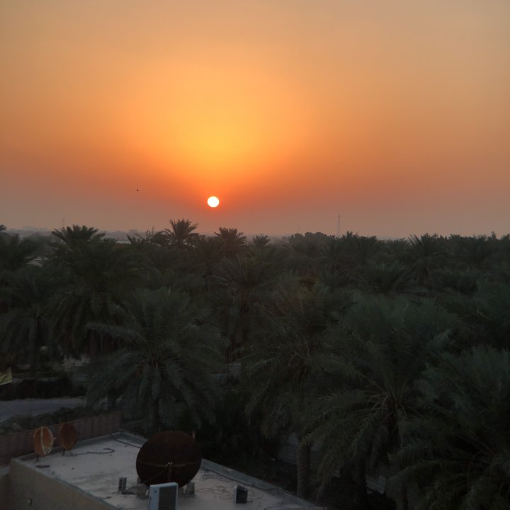 مشاركاتي في أنت الراصد