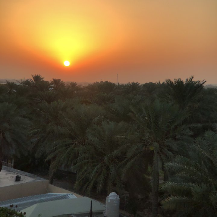 مشاركاتي في أنت الراصد