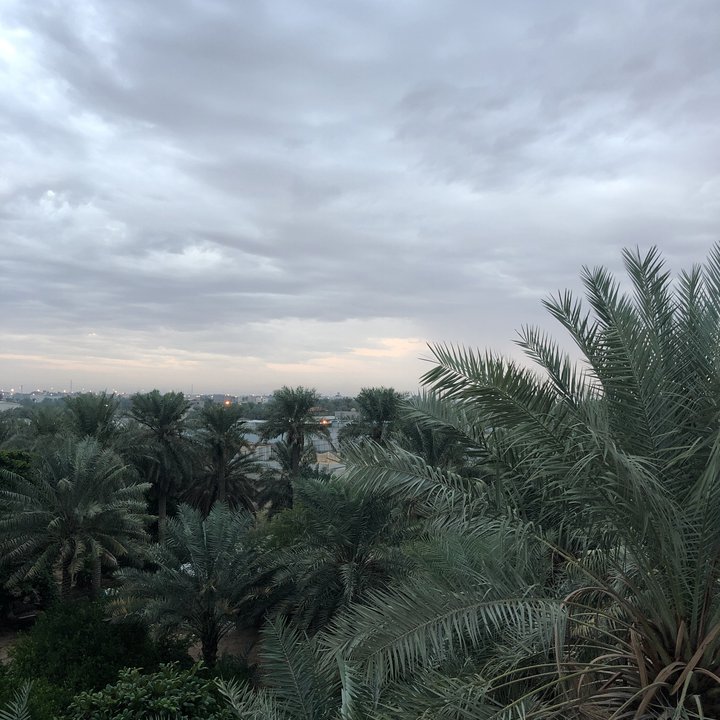 مشاركاتي في أنت الراصد