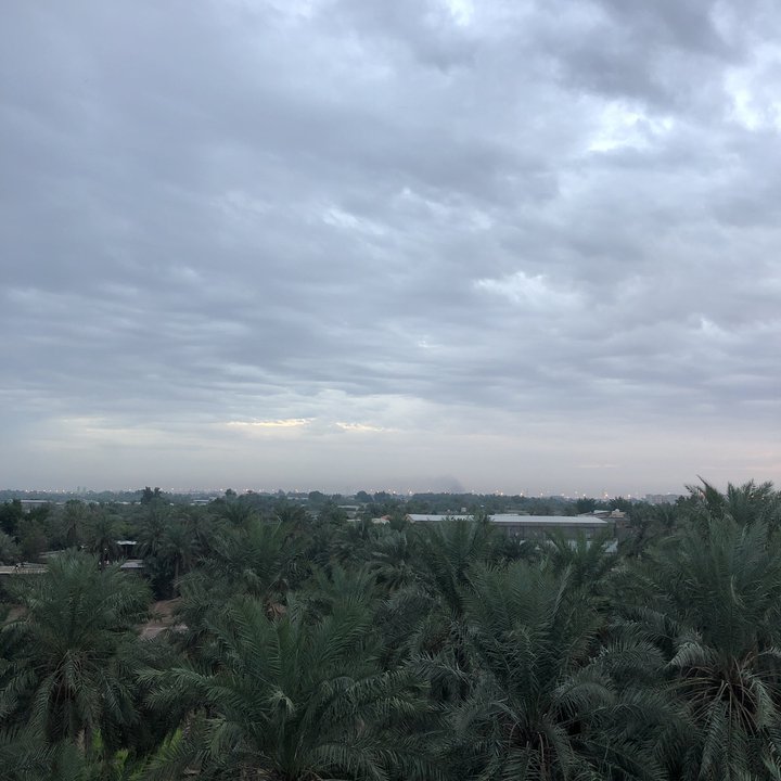 مشاركاتي في أنت الراصد