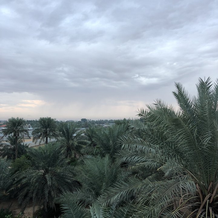 مشاركاتي في أنت الراصد