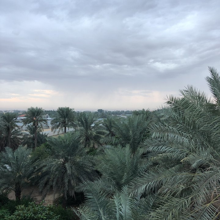 مشاركاتي في أنت الراصد