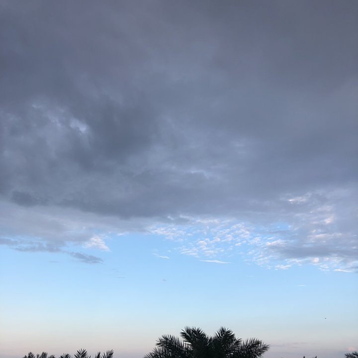 مشاركاتي في أنت الراصد