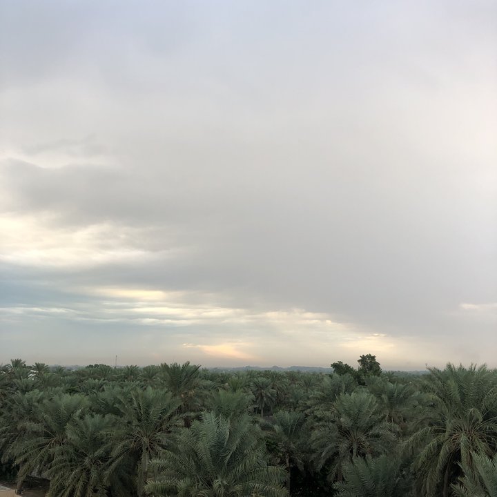 مشاركاتي في أنت الراصد