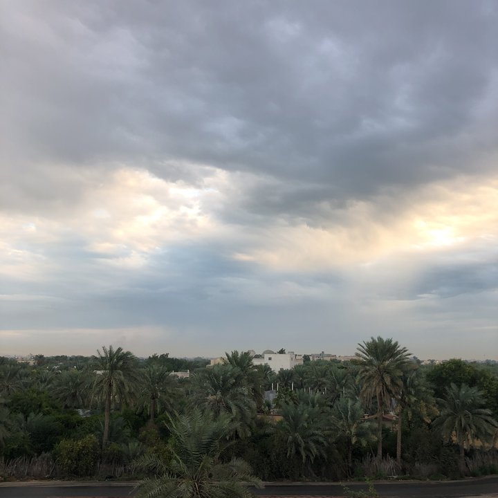 مشاركاتي في أنت الراصد