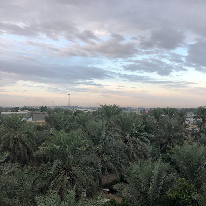 مشاركاتي في أنت الراصد