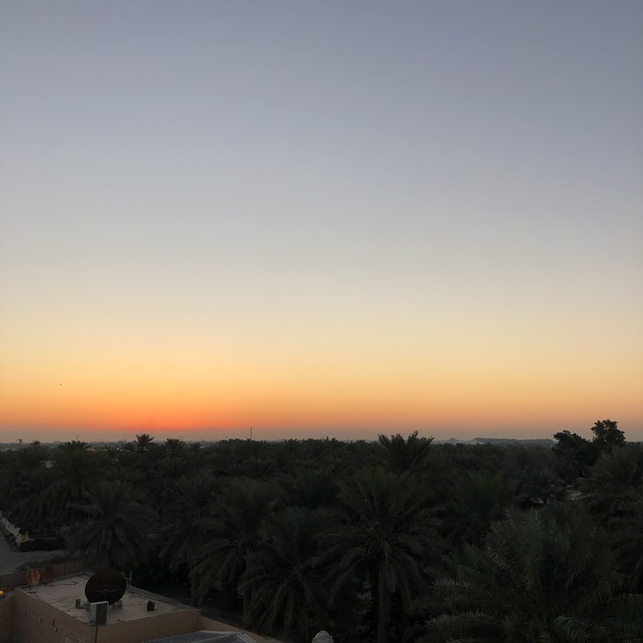 مشاركاتي في أنت الراصد