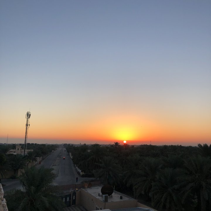 مشاركاتي في أنت الراصد