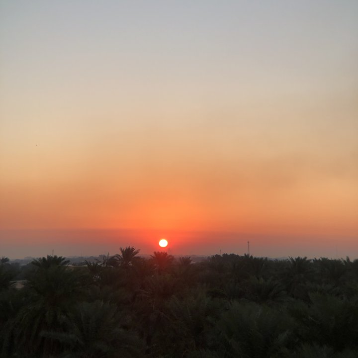 مشاركاتي في أنت الراصد