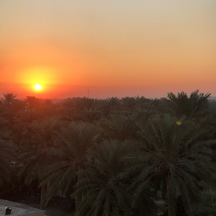 مشاركاتي في أنت الراصد