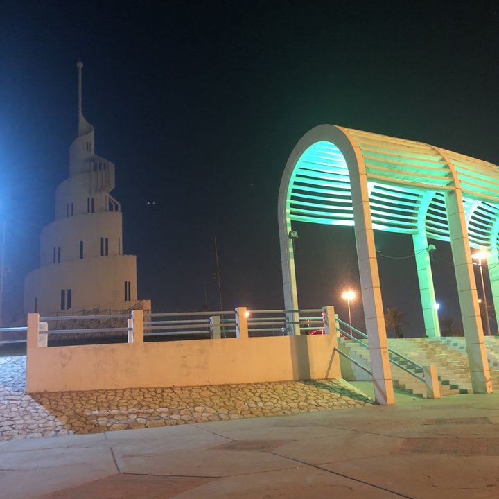 مشاركاتي في أنت الراصد