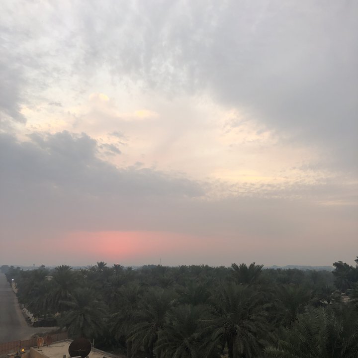 مشاركاتي في أنت الراصد