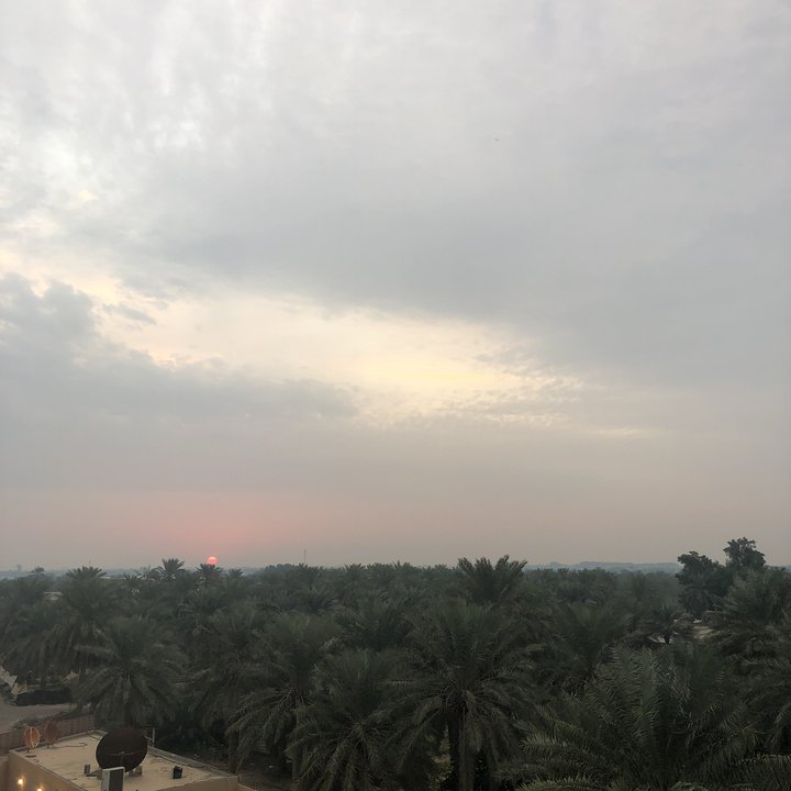 مشاركاتي في أنت الراصد