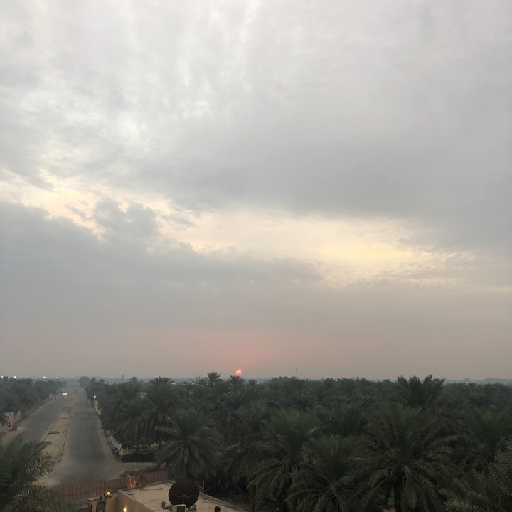 مشاركاتي في أنت الراصد