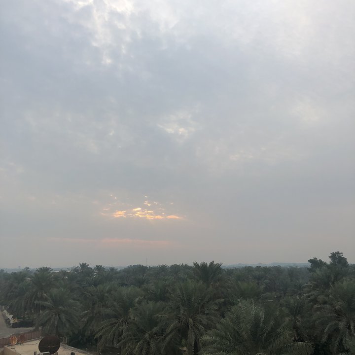 مشاركاتي في أنت الراصد