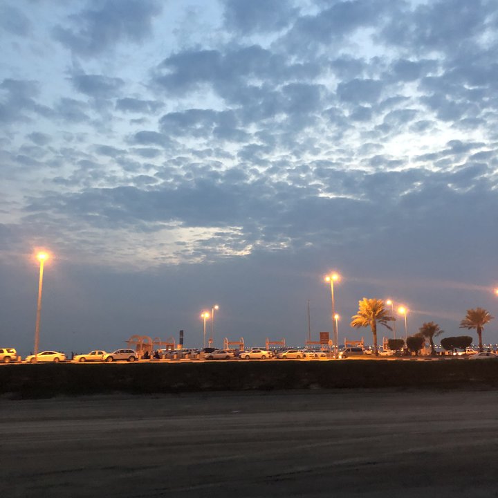 مشاركاتي في أنت الراصد