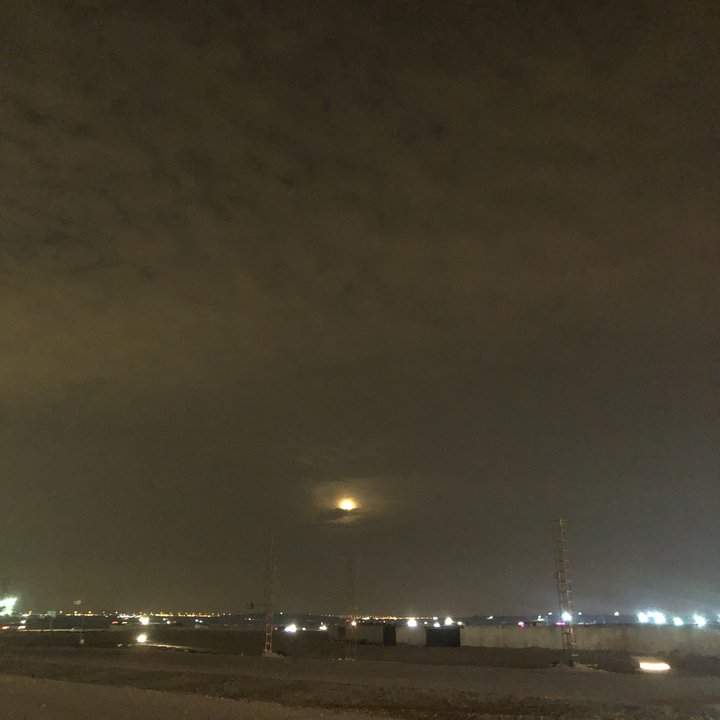 مشاركاتي في أنت الراصد