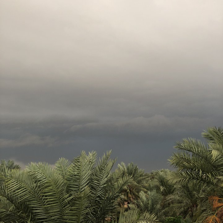 مشاركاتي في أنت الراصد