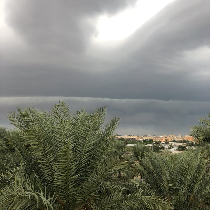 مشاركاتي في أنت الراصد