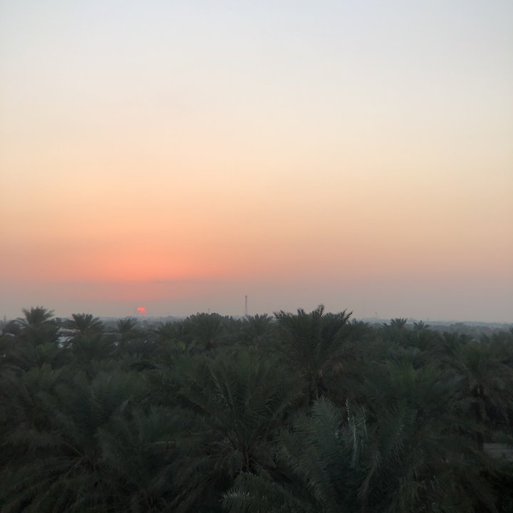 مشاركاتي في أنت الراصد