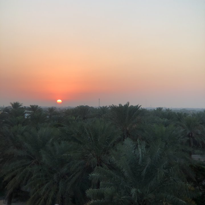 مشاركاتي في أنت الراصد