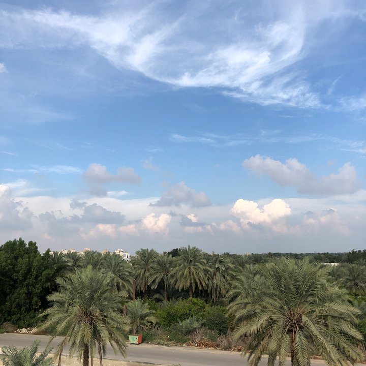 مشاركاتي في أنت الراصد