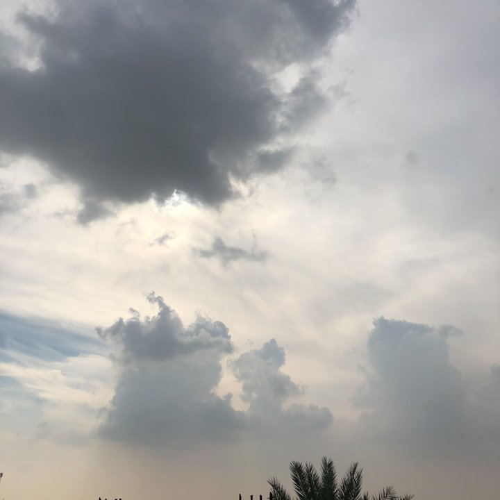 مشاركاتي في أنت الراصد