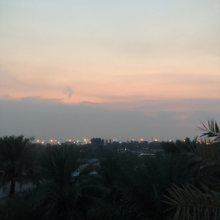 مشاركاتي في أنت الراصد