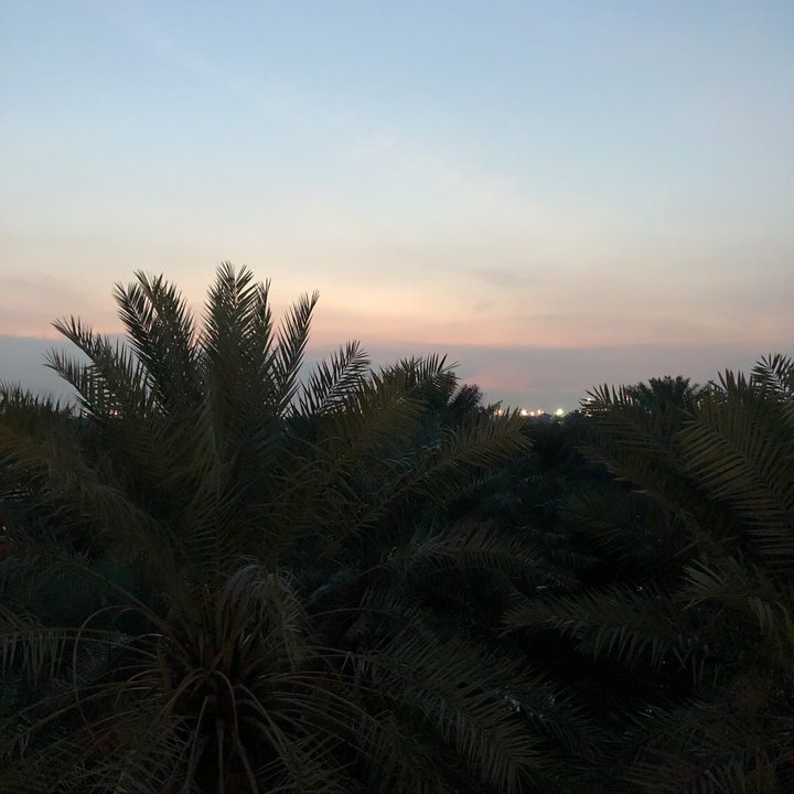 مشاركاتي في أنت الراصد