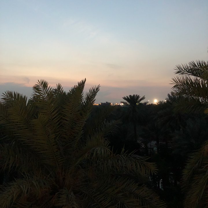 مشاركاتي في أنت الراصد