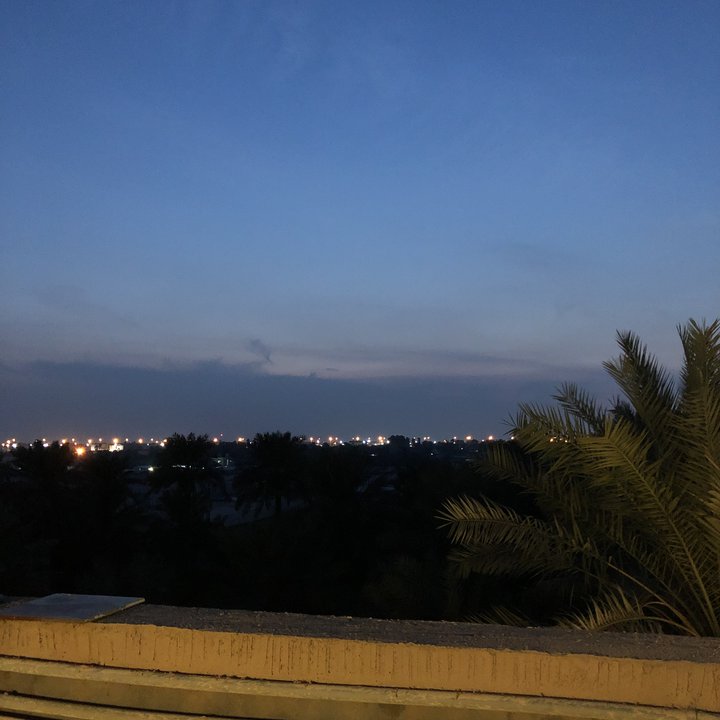 مشاركاتي في أنت الراصد