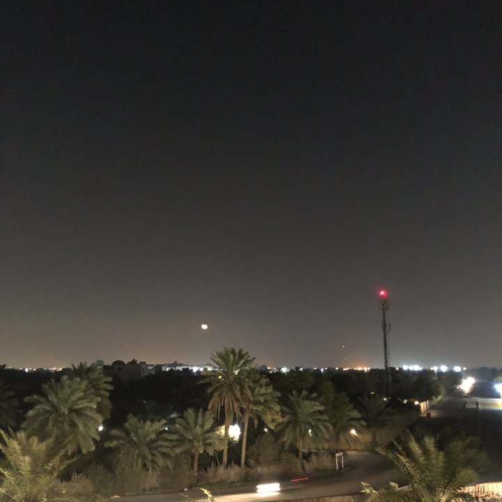 مشاركاتي في أنت الراصد