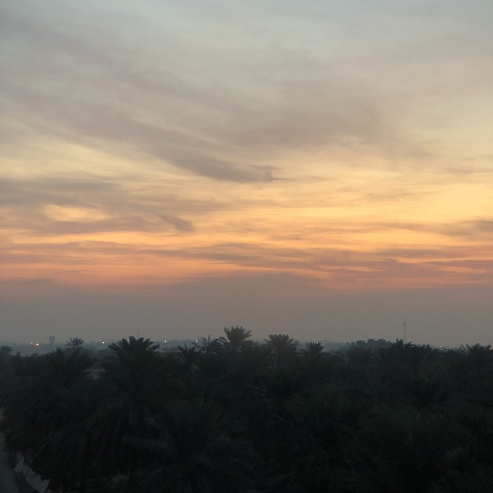 مشاركاتي في أنت الراصد