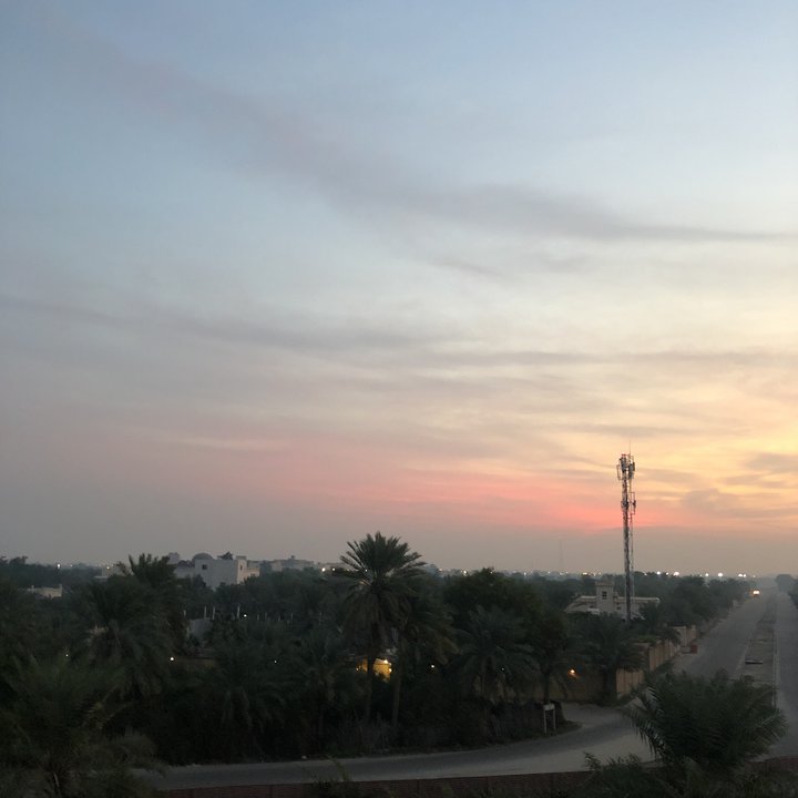 مشاركاتي في أنت الراصد