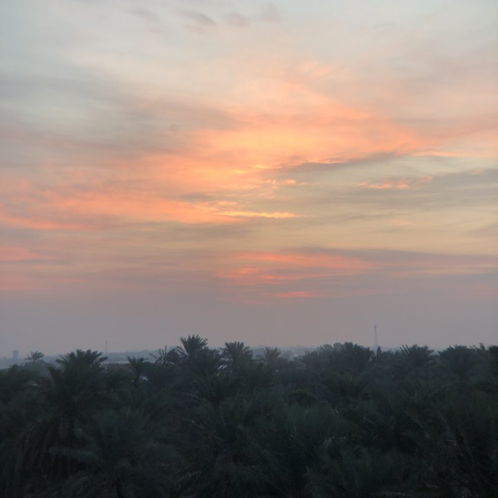 مشاركاتي في أنت الراصد