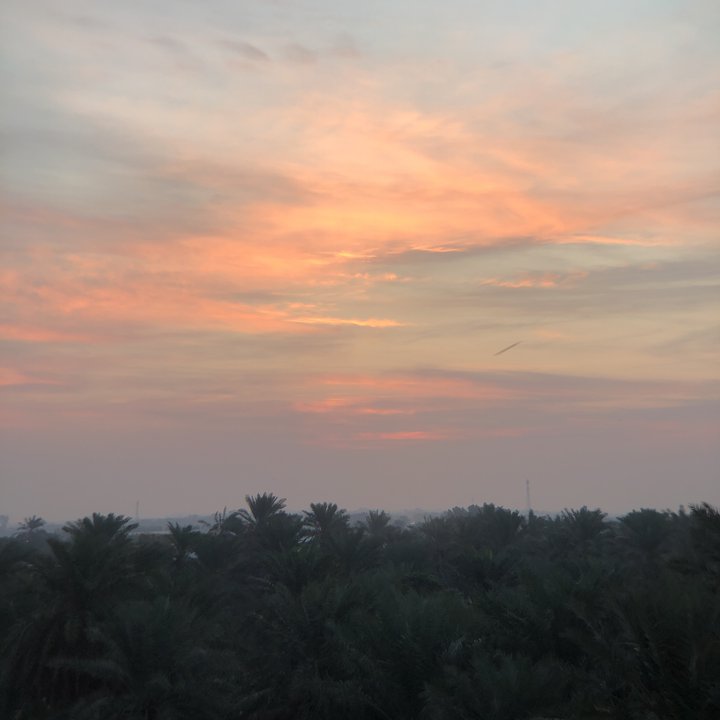 مشاركاتي في أنت الراصد