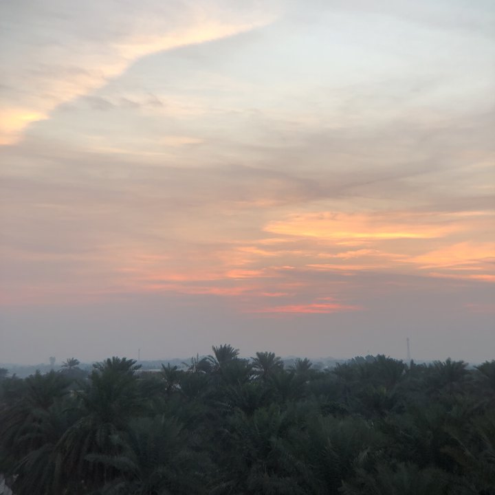 مشاركاتي في أنت الراصد